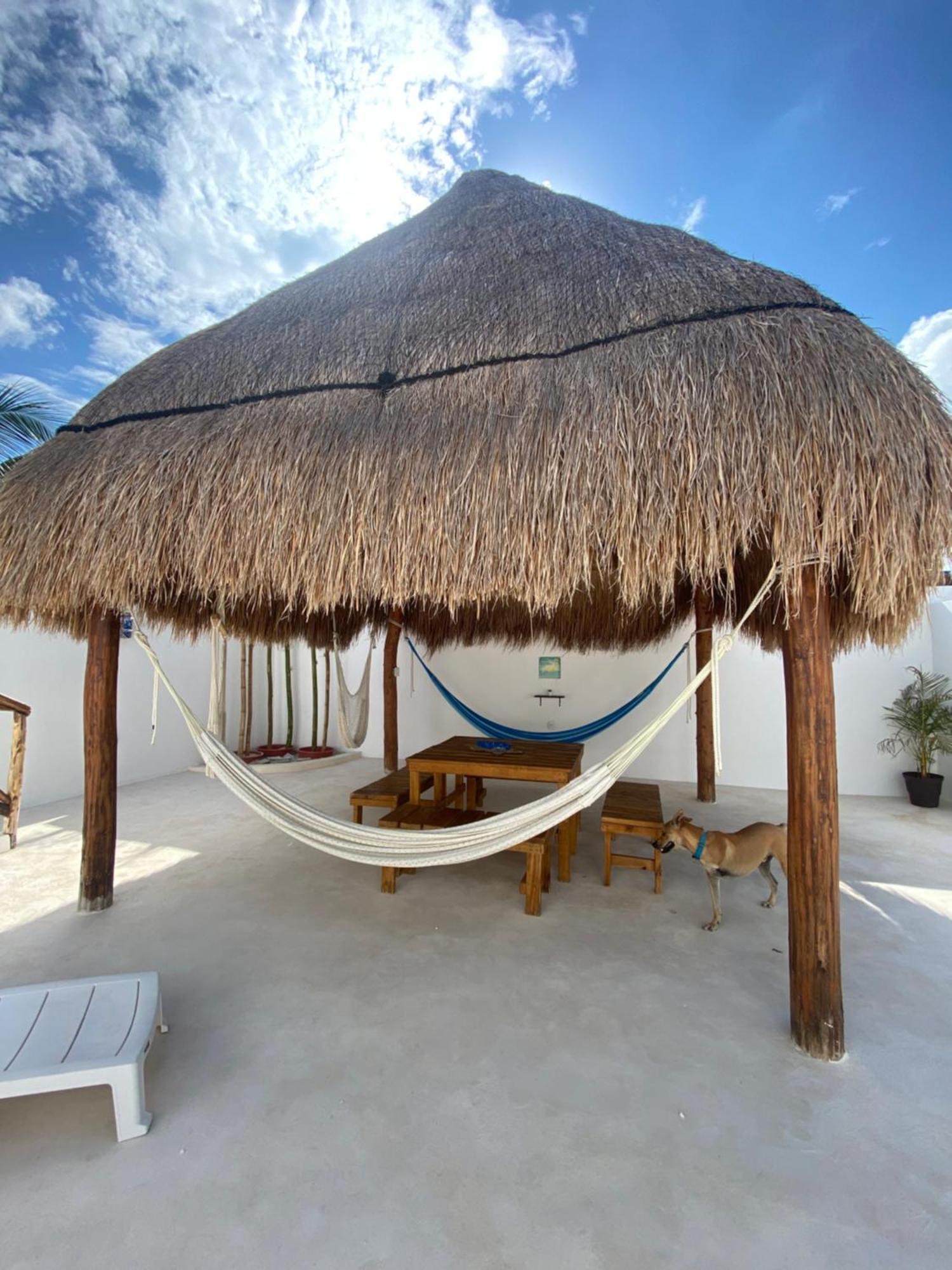 Апартаменты Casa Loto B Челем Экстерьер фото